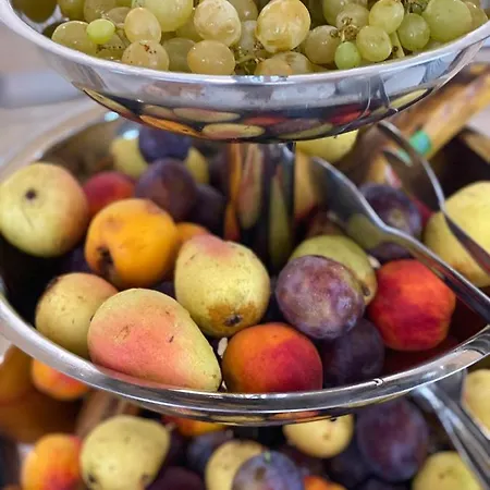 מלון Plamena Palace