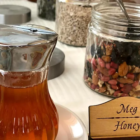 Plamena Palace פרימורסקו