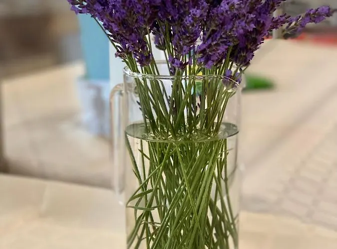 ホテル プラメナ パレス