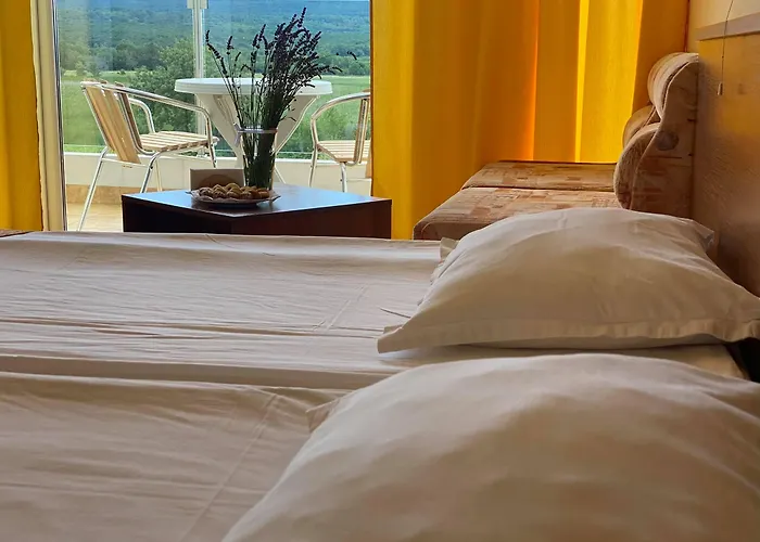 プラメナ パレス ホテル