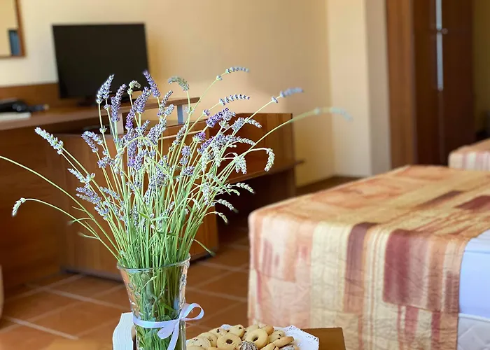 プラメナ パレス プリモルスコ