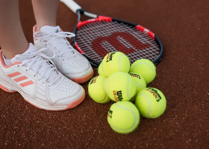 ホテル プラメナ パレス プリモルスコ