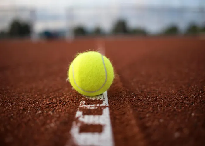 プラメナ パレス 4* プリモルスコ