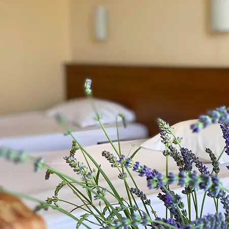 酒店 普拉梅娜宫酒店