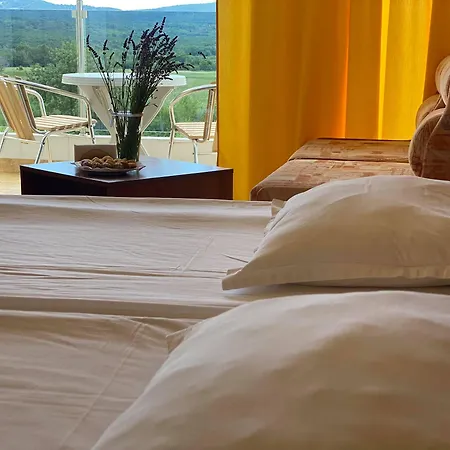 Plamena Palace 호텔
