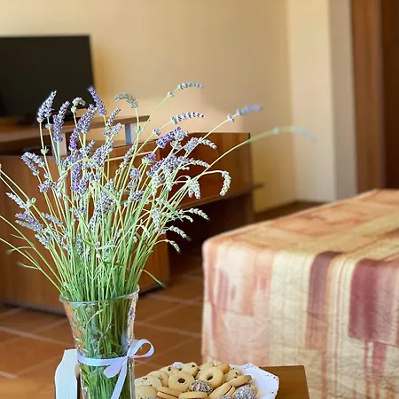 Plamena Palace بريمورسكو