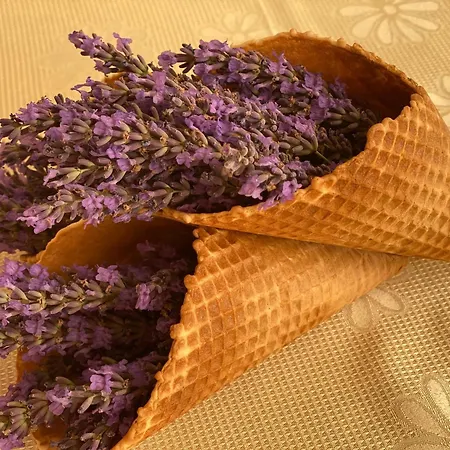 普拉梅娜宫酒店 4*