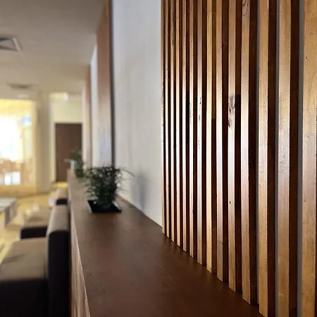 Plamena Palace 4*